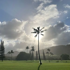 Meet your Posher, Bart